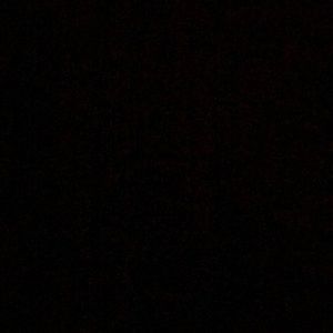 Meet your Posher, Dexter